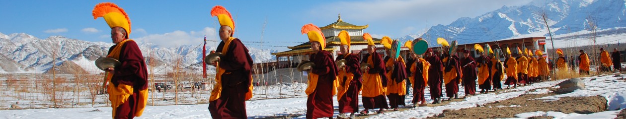 Drukpa Humanitär – Unterstützung Buddhistischer Nonnen